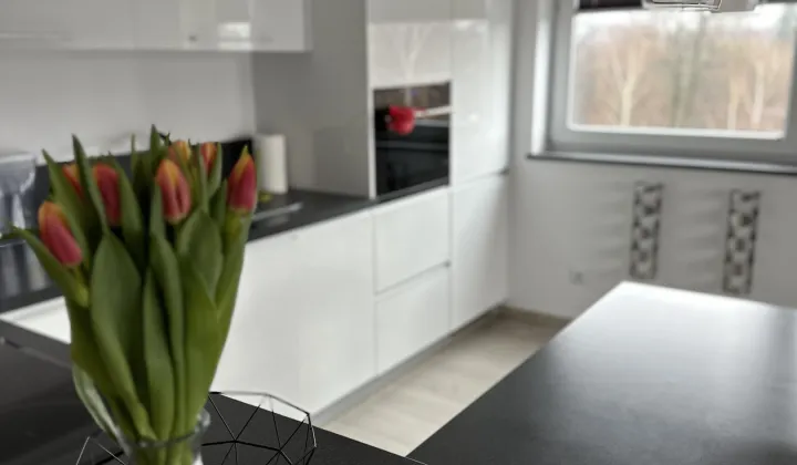 Mieszkanie 2-pokojowe Gliwice Stare Gliwice, ul. Kozielska