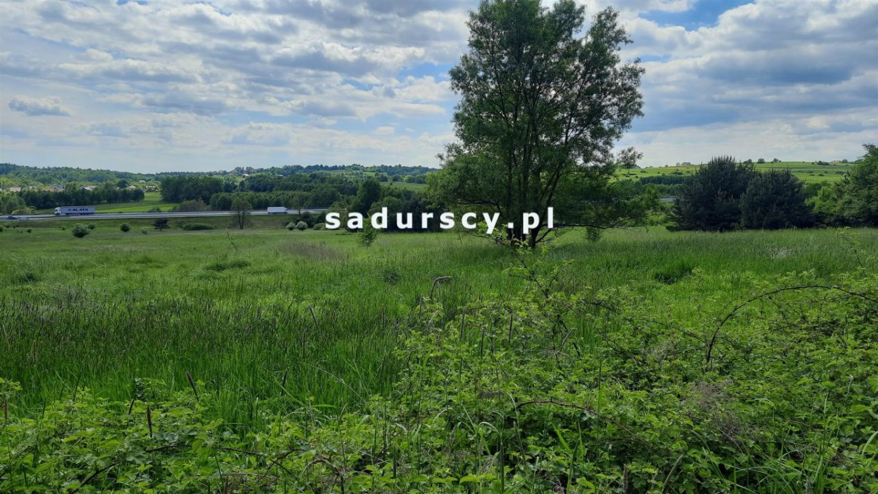 Działka inwestycyjna Rudno. Zdjęcie 4