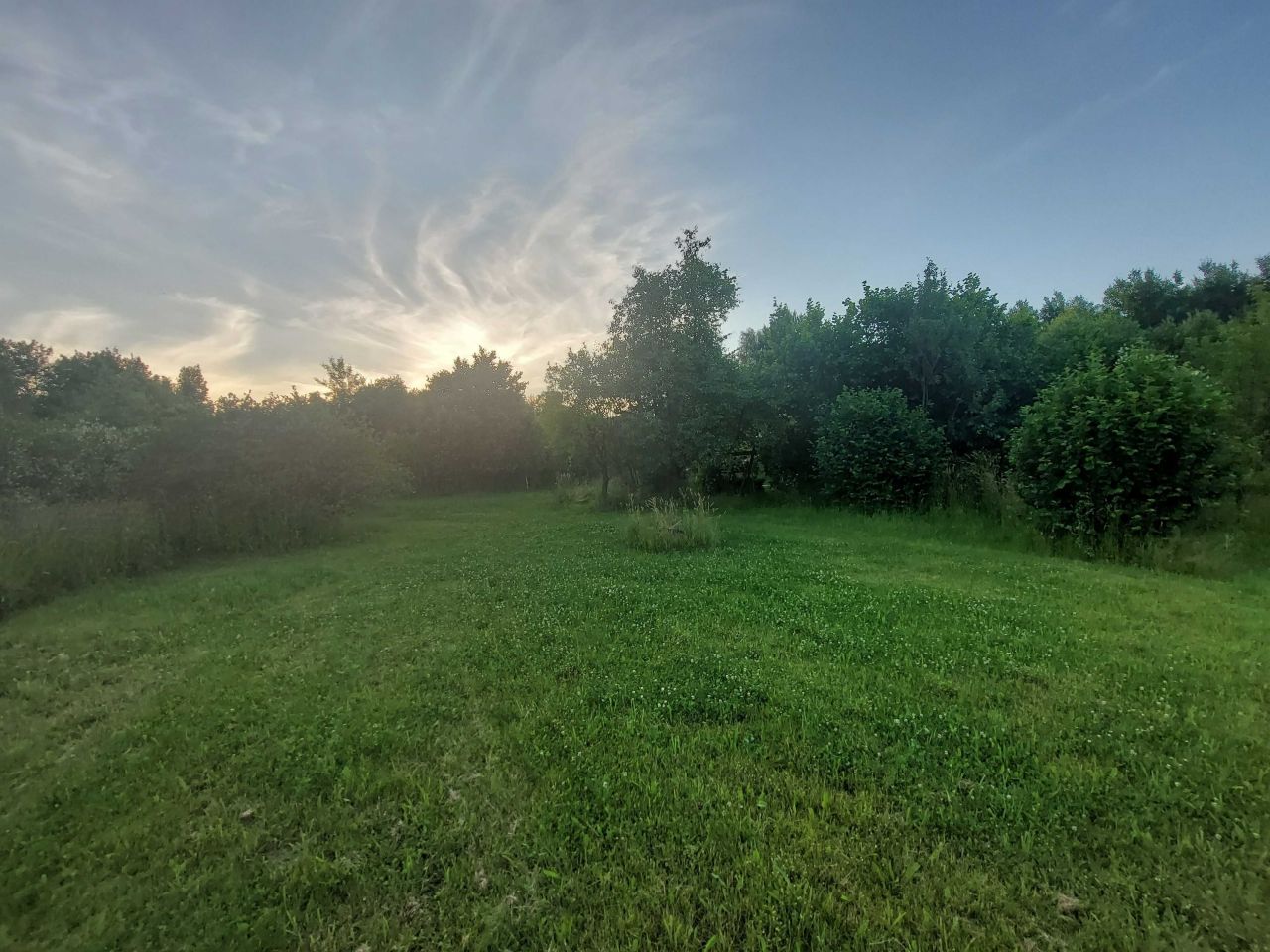 Działka rod Domaszowice. Zdjęcie 6