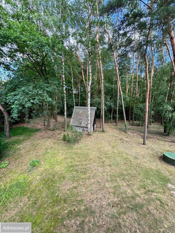 Działka rekreacyjna Borkowo. Zdjęcie 7