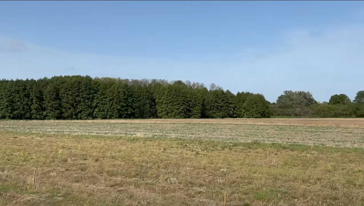 Działka budowlana Marynin. Zdjęcie 8