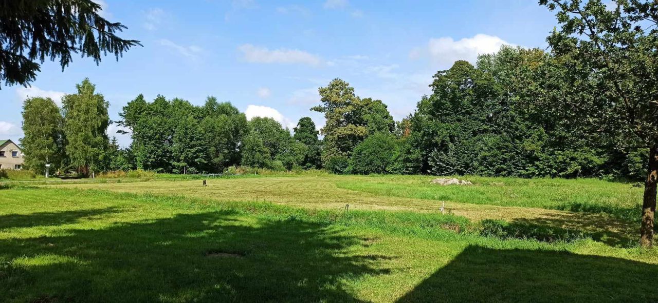 Działka budowlana Stara Kopernia. Zdjęcie 4