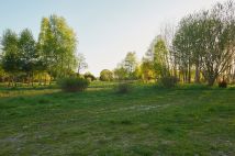 Działka siedliskowa Aleksandrów. Zdjęcie 3