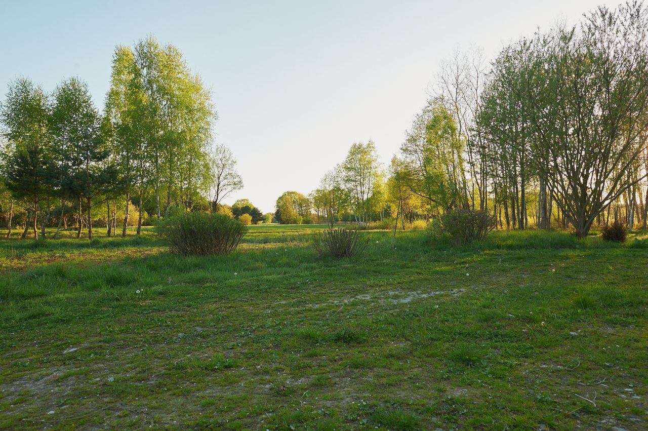 Działka siedliskowa Aleksandrów. Zdjęcie 4