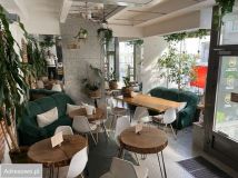 Lokal Opole Śródmieście, ul. Edmunda Osmańczyka. Zdjęcie 2