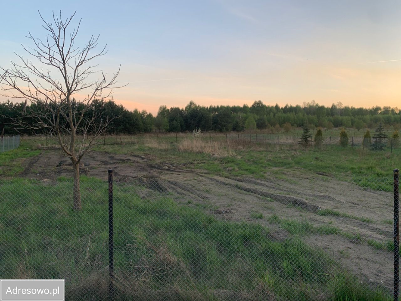 Działka budowlana Kosówka. Zdjęcie 6