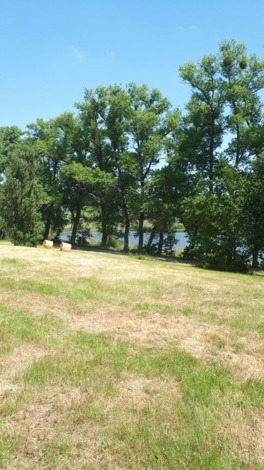 Działka rolno-budowlana Kiczarowo. Zdjęcie 4