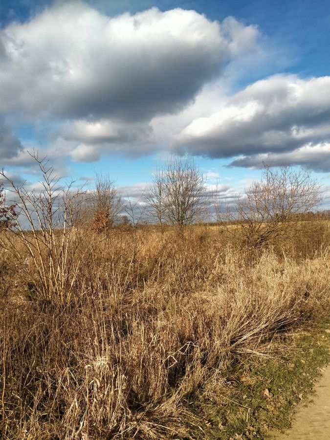 Działka budowlana Kiersnowo. Zdjęcie 4
