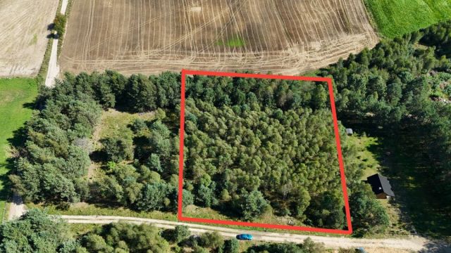 Działka budowlana Osowo Leśne. Zdjęcie 2