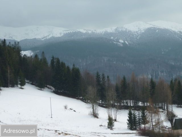 Hotel/pensjonat Zawoja. Zdjęcie 20