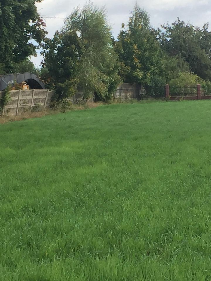 Działka inwestycyjna Klukowo, ul. Mazowiecka. Zdjęcie 7