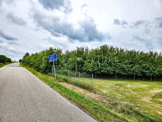 Działka rolna Narty. Zdjęcie 1