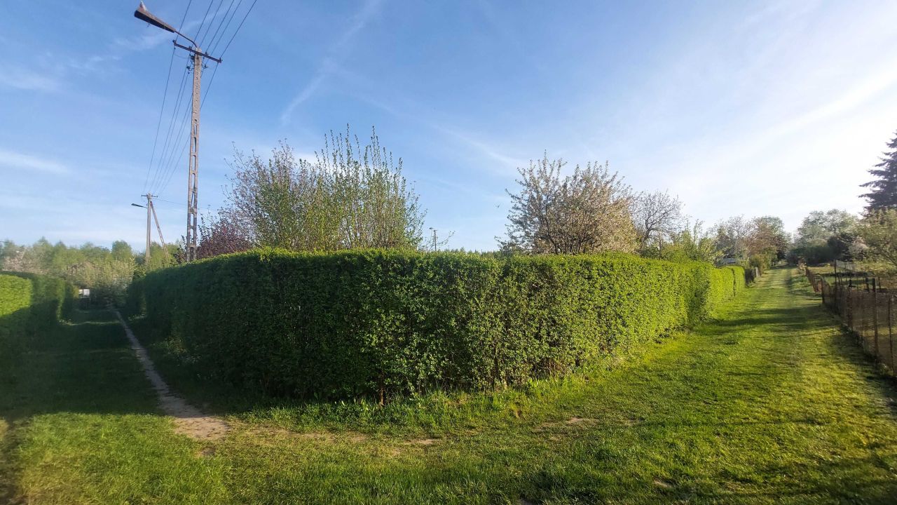 Działka rod Koszalin. Zdjęcie 5