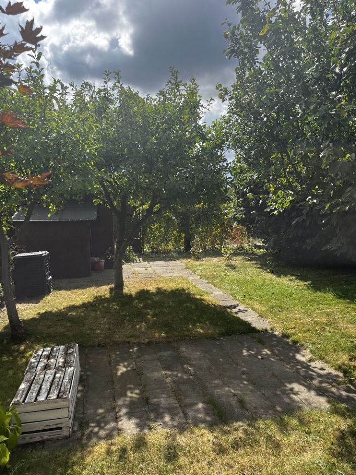 Działka rod Skierniewice, ul. Mazowiecka. Zdjęcie 3