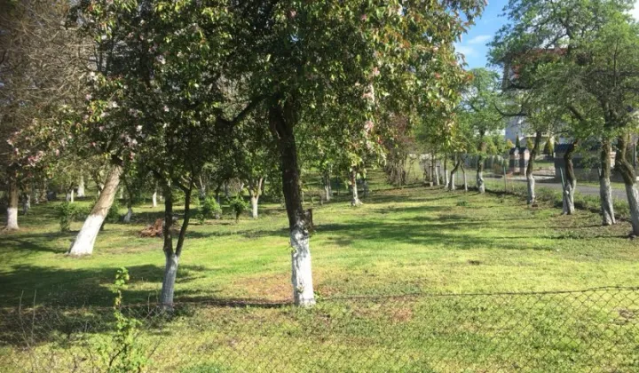 Działka budowlana Maciejowice