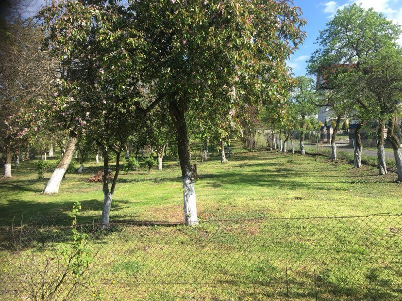 Działka budowlana Maciejowice. Zdjęcie 1