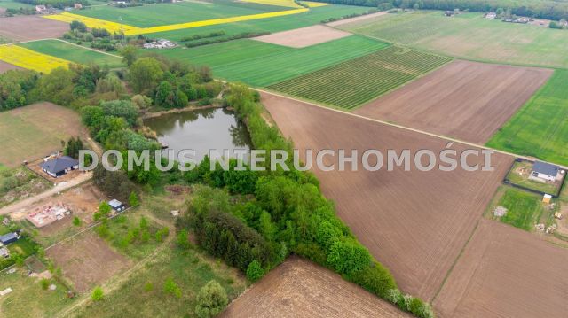 Działka rolna Kutno. Zdjęcie 8