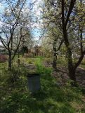 Działka rod Starachowice Skałka, ul. Zielona. Zdjęcie 3