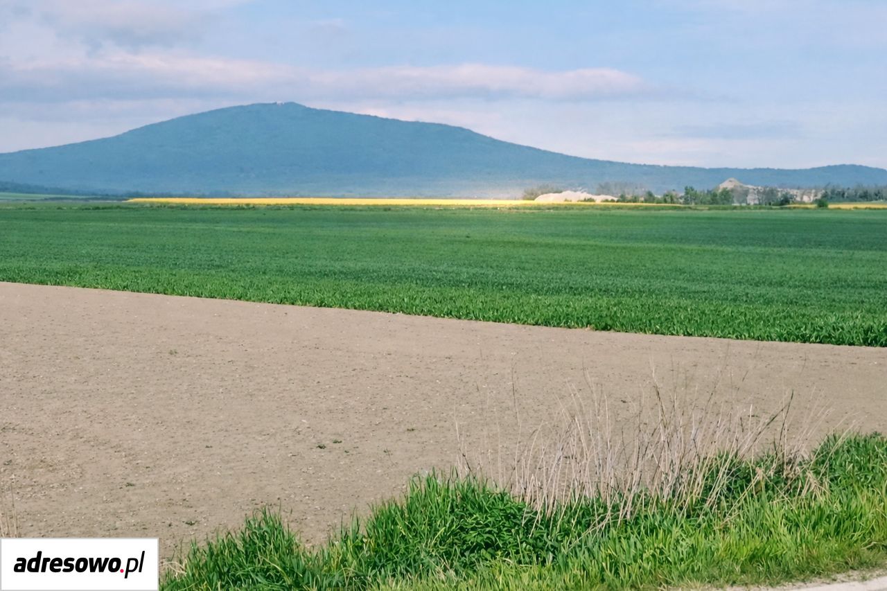 Działka budowlana Jordanów Śląski, ul. Leśna. Zdjęcie 1