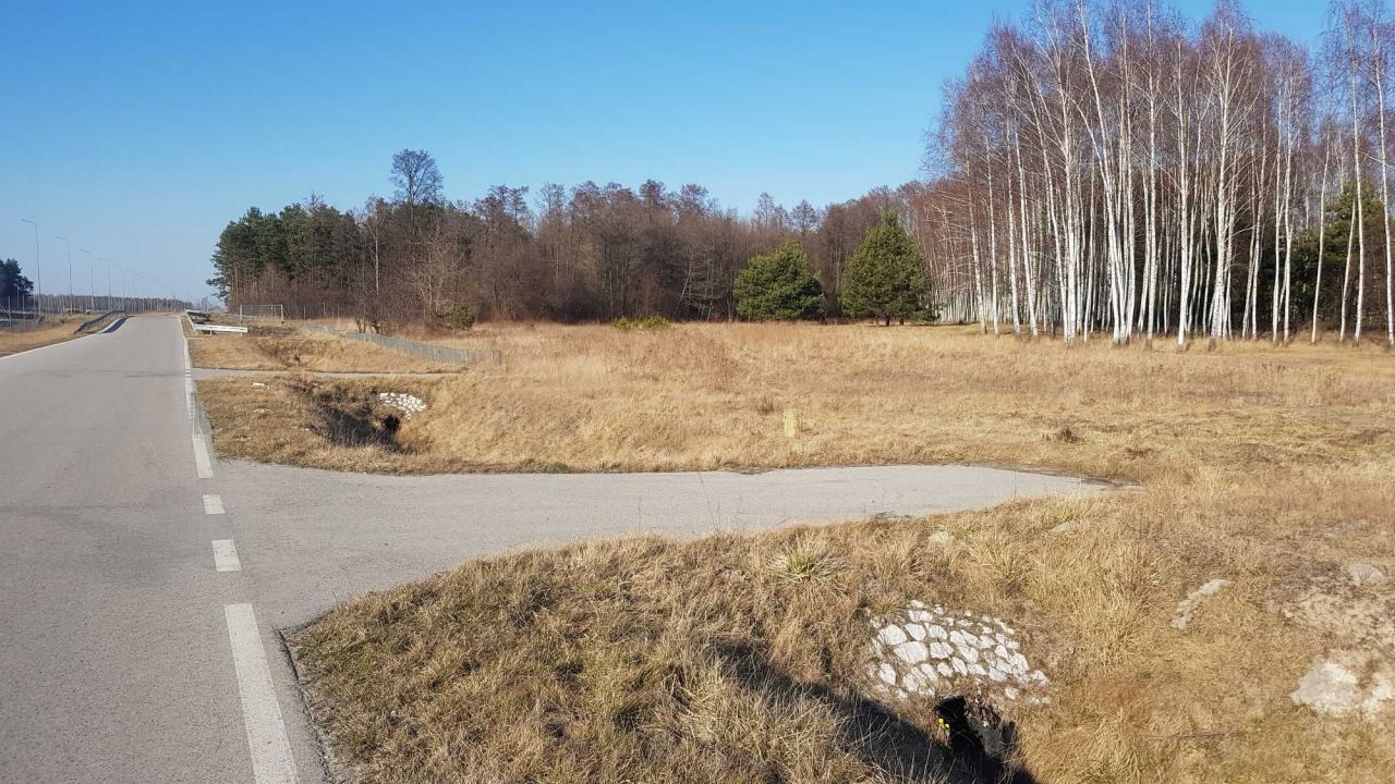 Działka inwestycyjna Mleczków. Zdjęcie 5