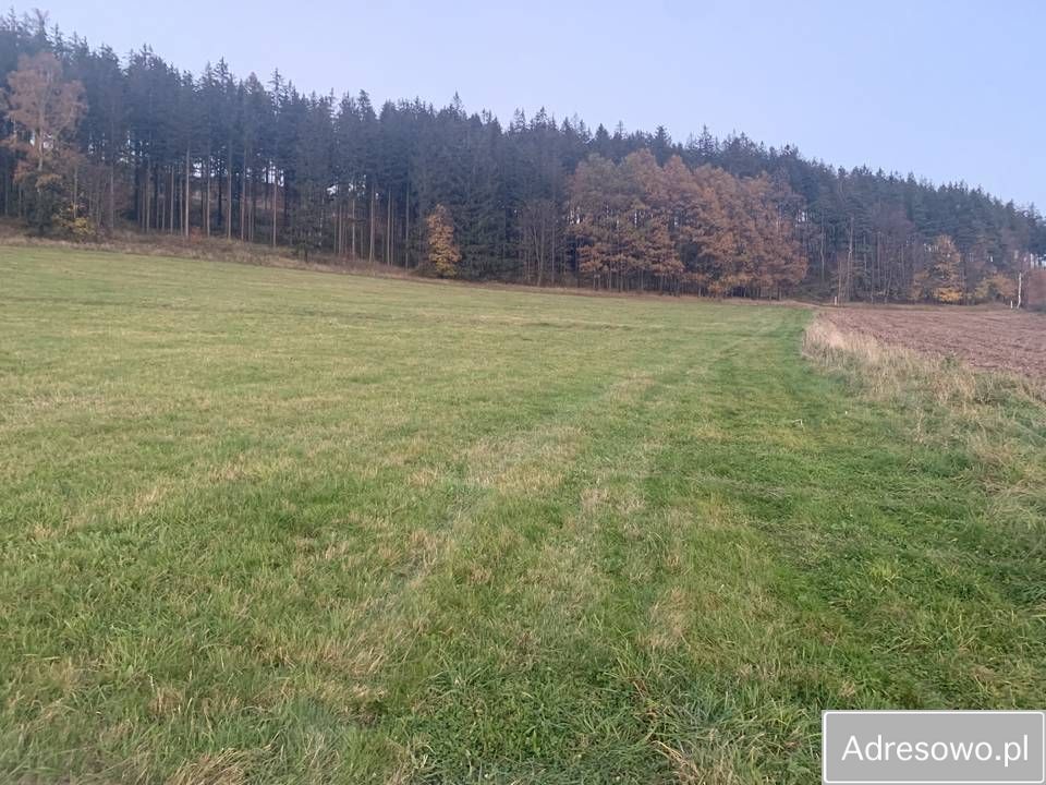 Działka rolno-budowlana Czarny Bór. Zdjęcie 3