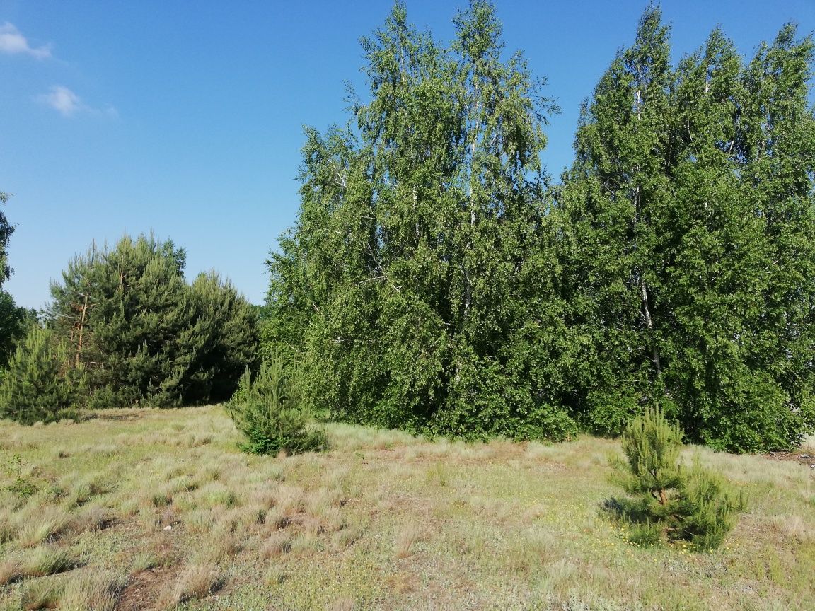 Działka inwestycyjna Słomków. Zdjęcie 3