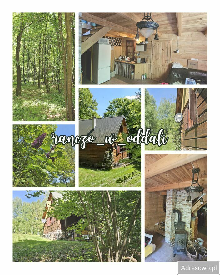 Działka rekreacyjna Czułów. Zdjęcie 8