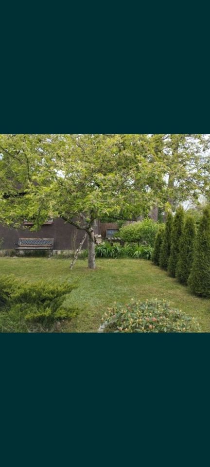 Działka rod Wałbrzych Podzamcze, al. Podwale. Zdjęcie 7