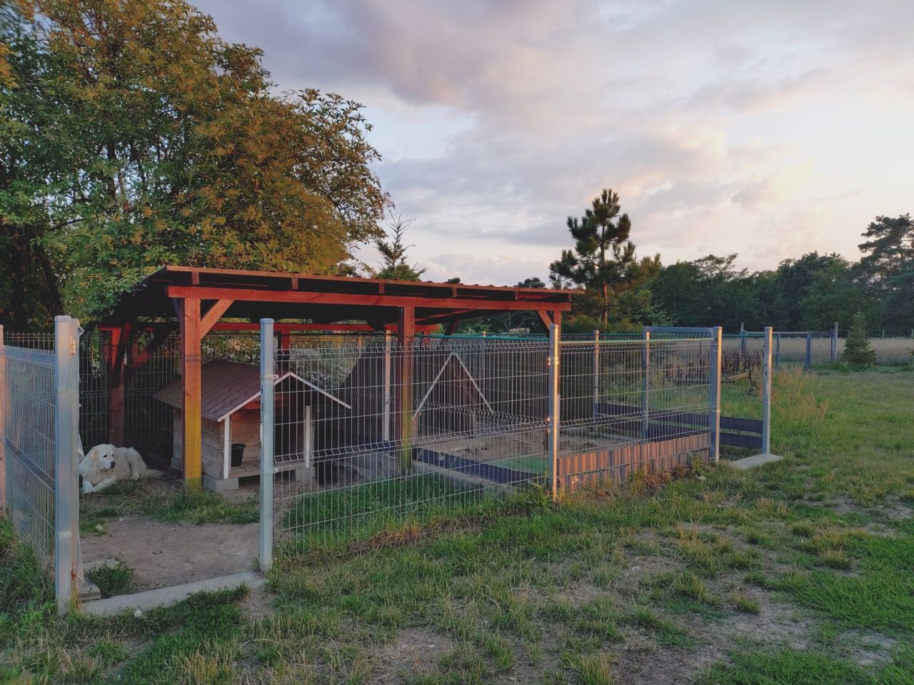 Działka rolna Jarnatów. Zdjęcie 16