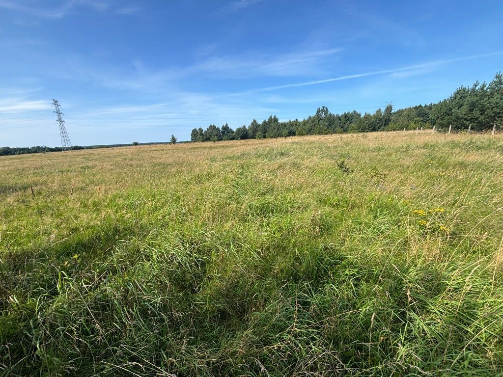 Działka rolna Machowinko