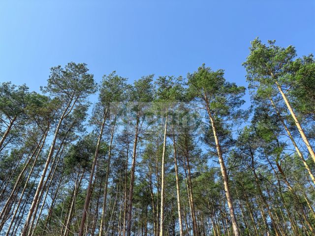 Działka budowlana Ojrzanów. Zdjęcie 9