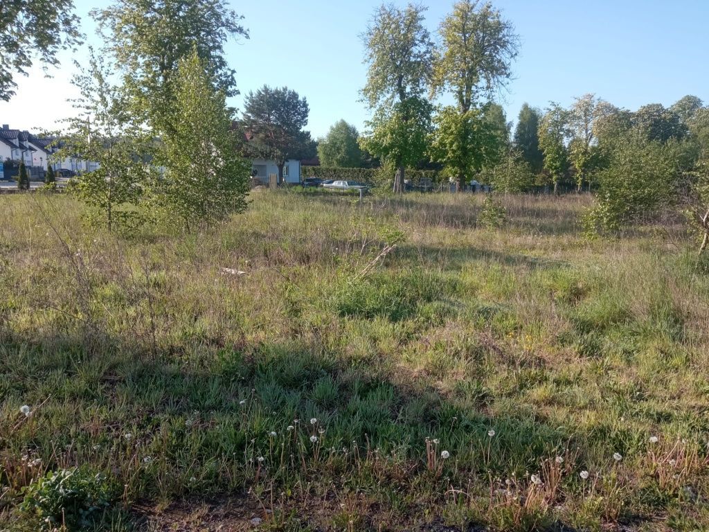 Działka budowlana Przemocze. Zdjęcie 5