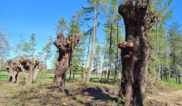 Działka siedliskowa Długie Grodzieckie Nad Jeziorem