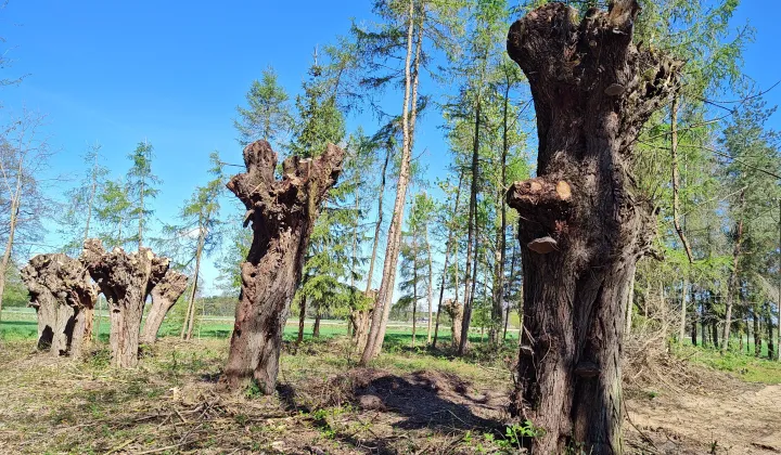 Działka siedliskowa Długie Grodzieckie Nad Jeziorem