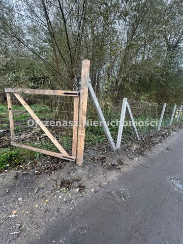 Działka rolna Kruszyn Krajeński. Zdjęcie 8