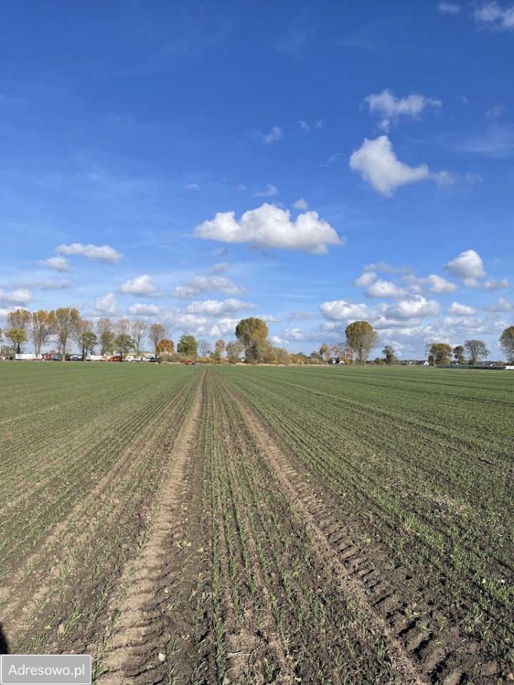 Działka inwestycyjna Karnin, ul. Lubuska. Zdjęcie 11