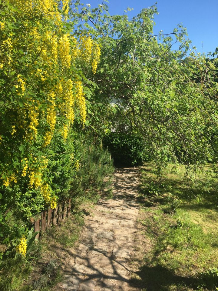 Działka rekreacyjna Czarne Małe. Zdjęcie 60
