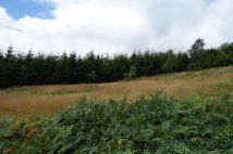 Działka inwestycyjna Brenna Leśnica, ul. Orłowa. Zdjęcie 1