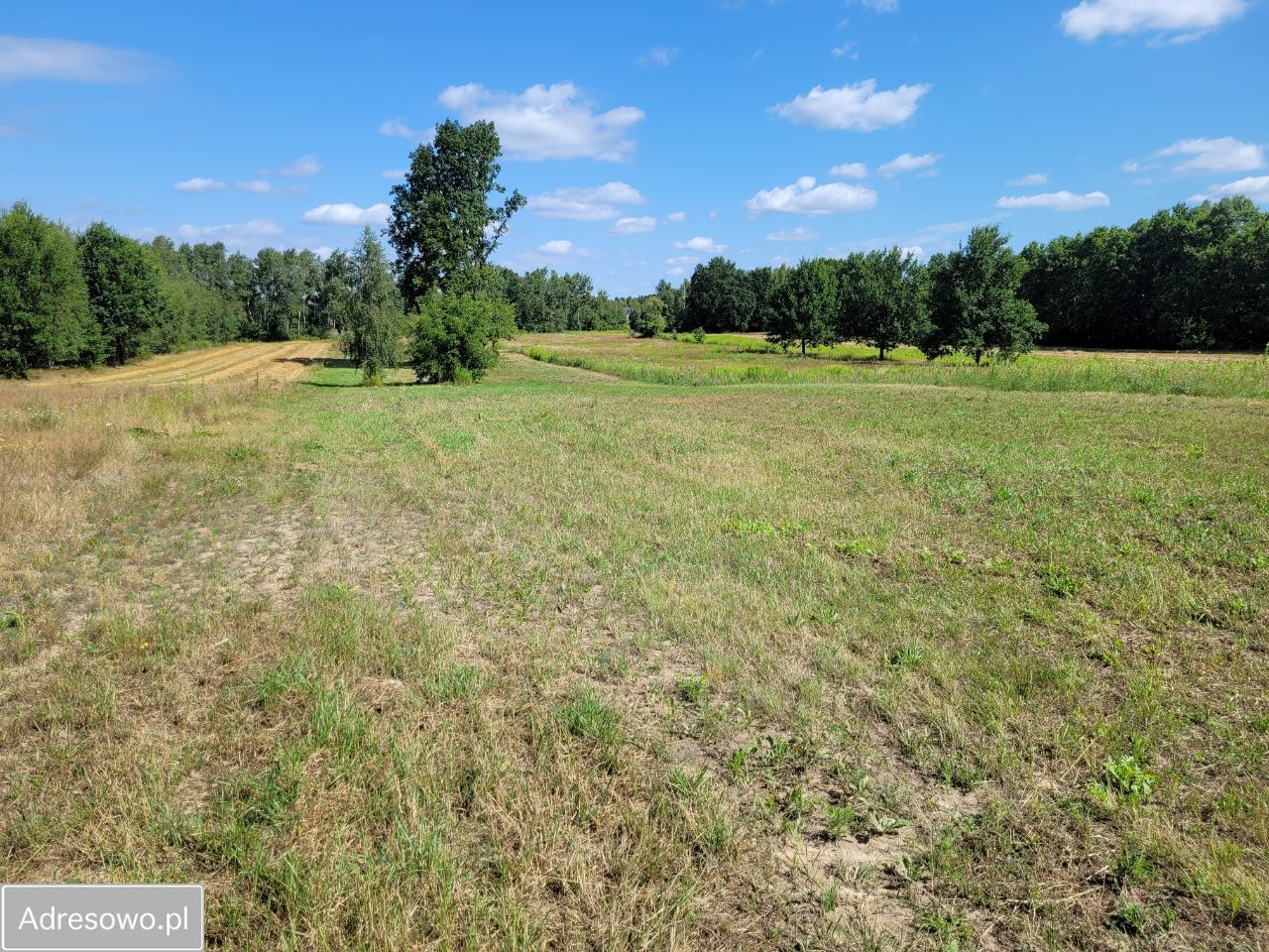 Działka budowlana Powązki. Zdjęcie 6