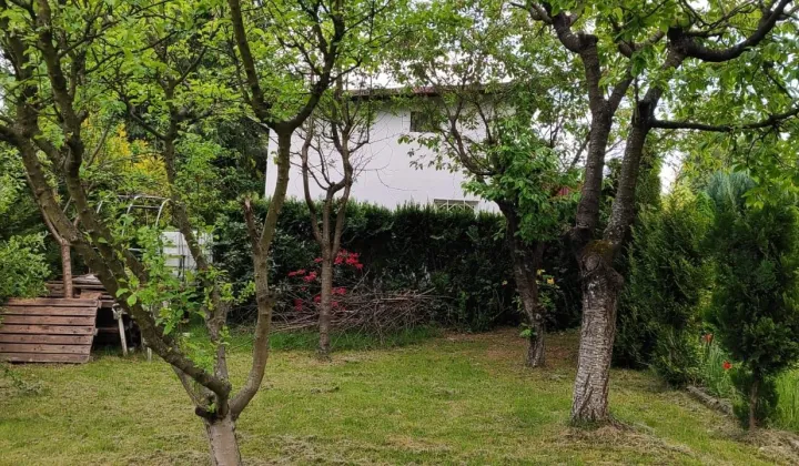 Działka rod Bielsko-Biała