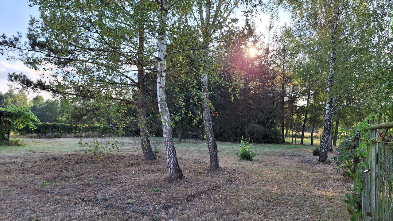 Działka budowlana Piskórka, ul. Świerkowa. Zdjęcie 5