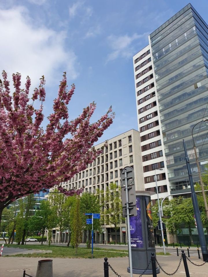 Mieszkanie 2-pokojowe Warszawa Śródmieście. Zdjęcie 6