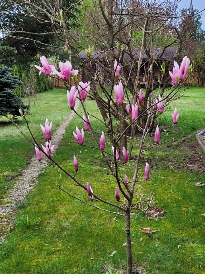 dom wolnostojący Giby. Zdjęcie 4