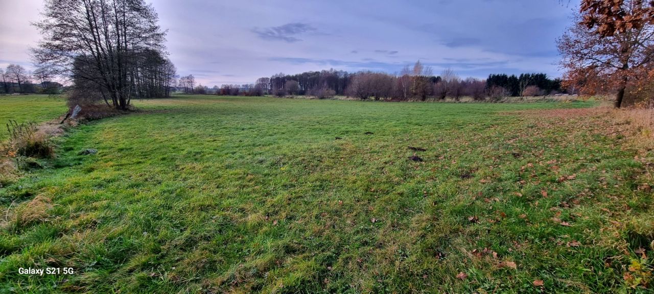 Działka rolna Lubieszewo. Zdjęcie 5