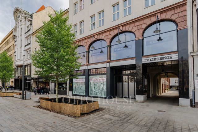 Mieszkanie 1-pokojowe Poznań, pl. Wolności. Zdjęcie 12