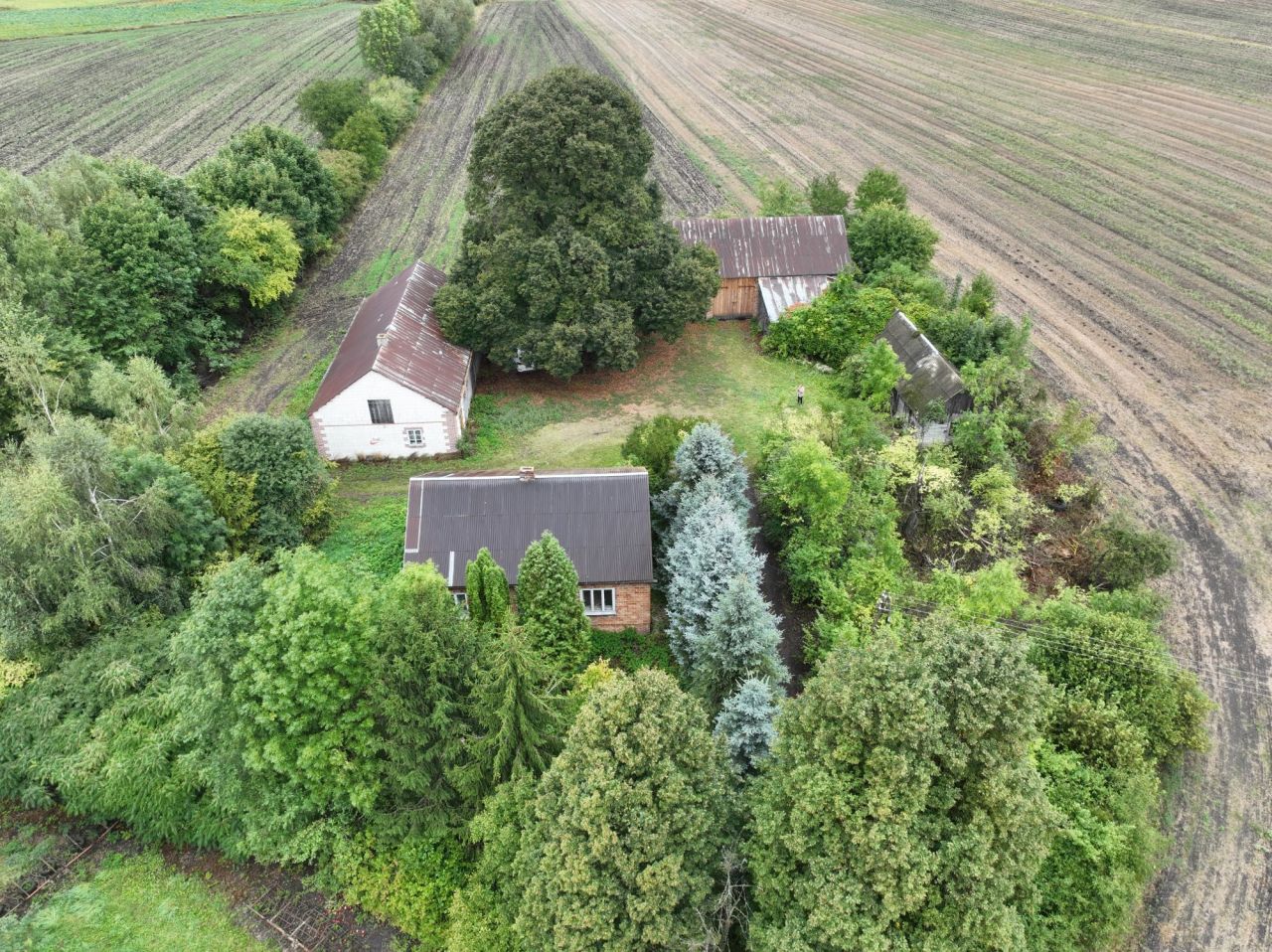 gospodarstwo Poddąbrowa. Zdjęcie 6