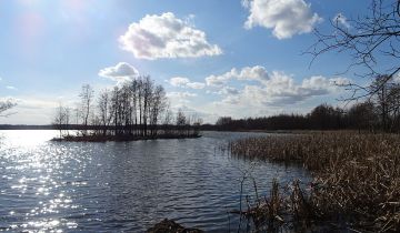 Działka rekreacyjna Rozkopaczew