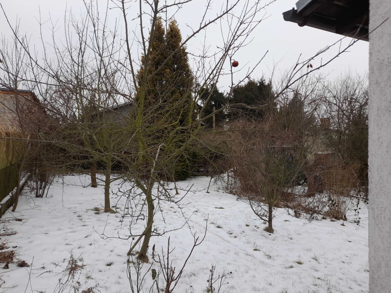 Działka rod Jelonek. Zdjęcie 3