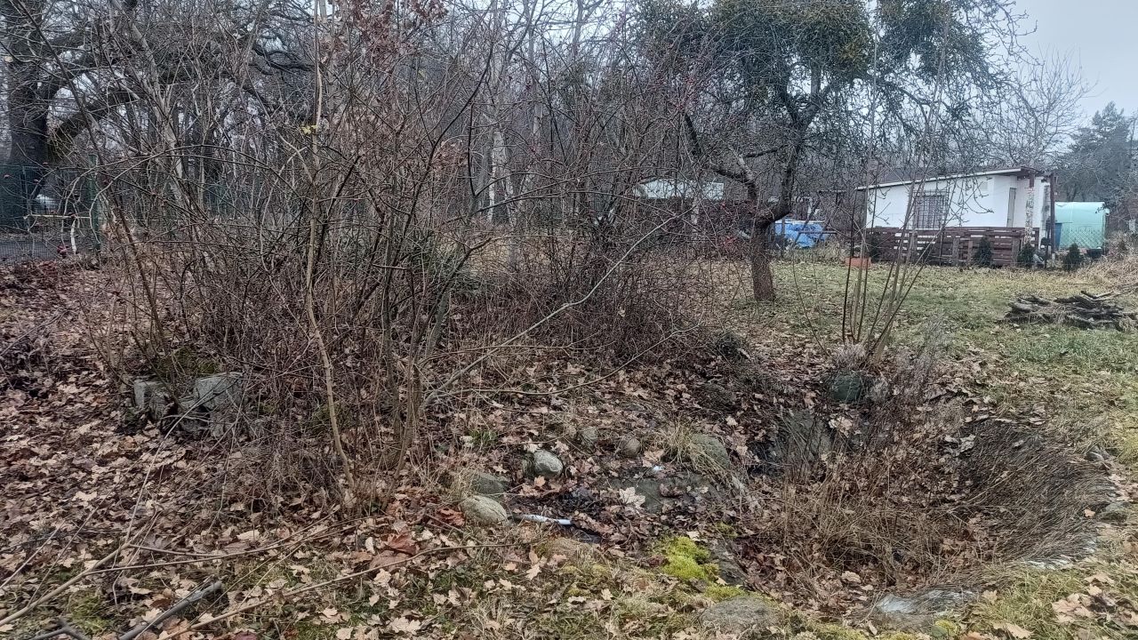 Działka rod Wrocław, ul. Irysowa. Zdjęcie 7