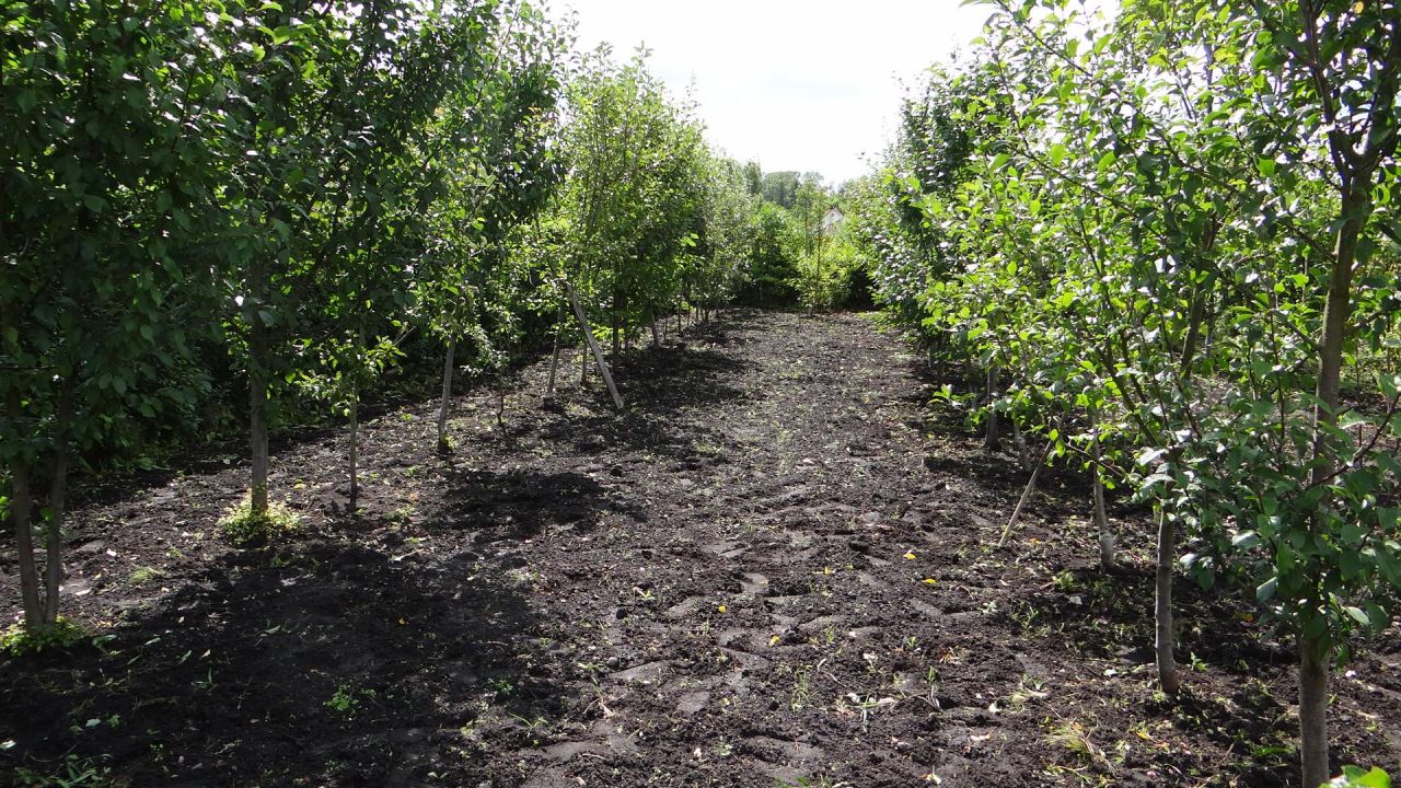 Działka rod Piła Centrum, ul. Różyckiego. Zdjęcie 2